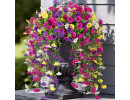 Artificial Hanging Petunias