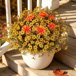 Hrobek Artificial Mums for Outdoors Planter Silk Fake Flower for Fall Decor | 12 Bunches,Orange Yellow,UV Resistant,Look Real,Faux Dahlia Plants Outside for Front Door Porch,Patio,Yard,Home Decoration Hrobek Artificial Mums for Outdoors Planter Silk Fake Flower for Fall Decor | 12 Bunches,Orange Yellow,UV Resistant,Look Real,Faux Dahlia Plants Outside for Front Door Porch,Patio,Yard,Home Decoration